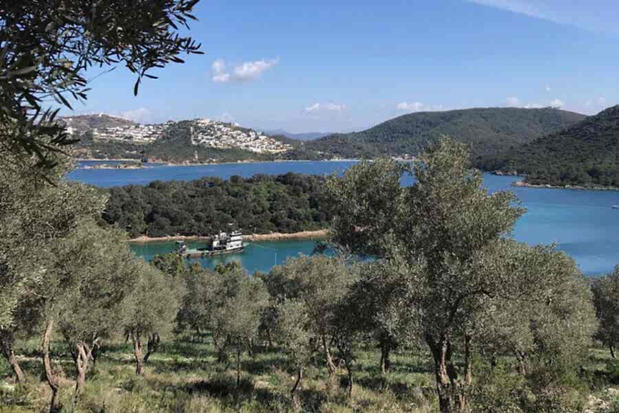 Salih Adası