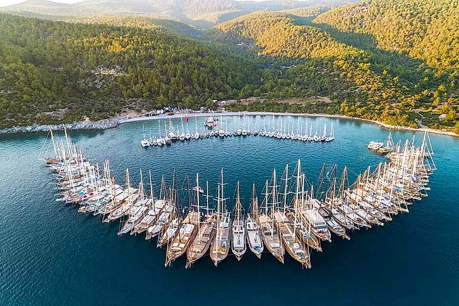 Kissebükü Koyu