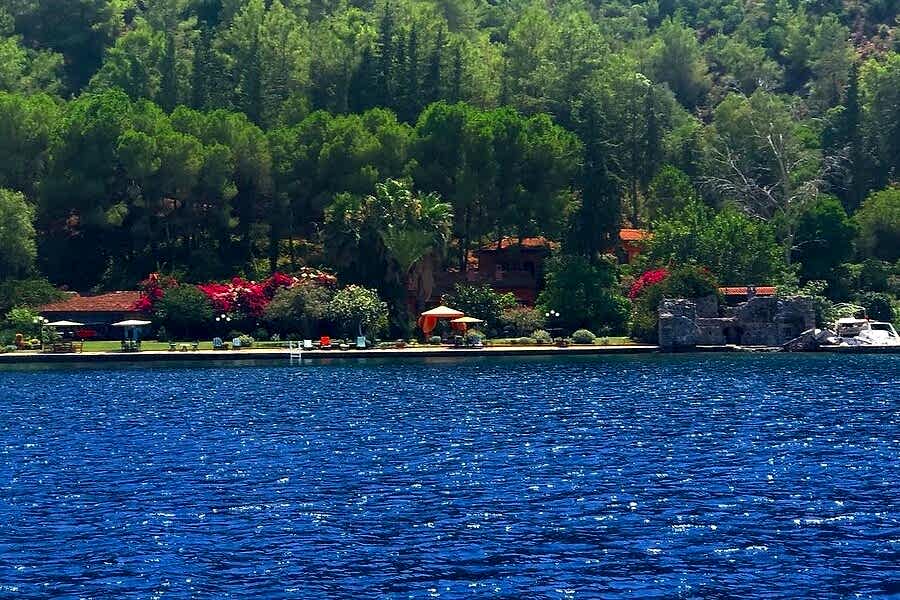 Domuz Adası